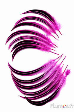 Eend Mandarin - 15-20 cm - fuchsia